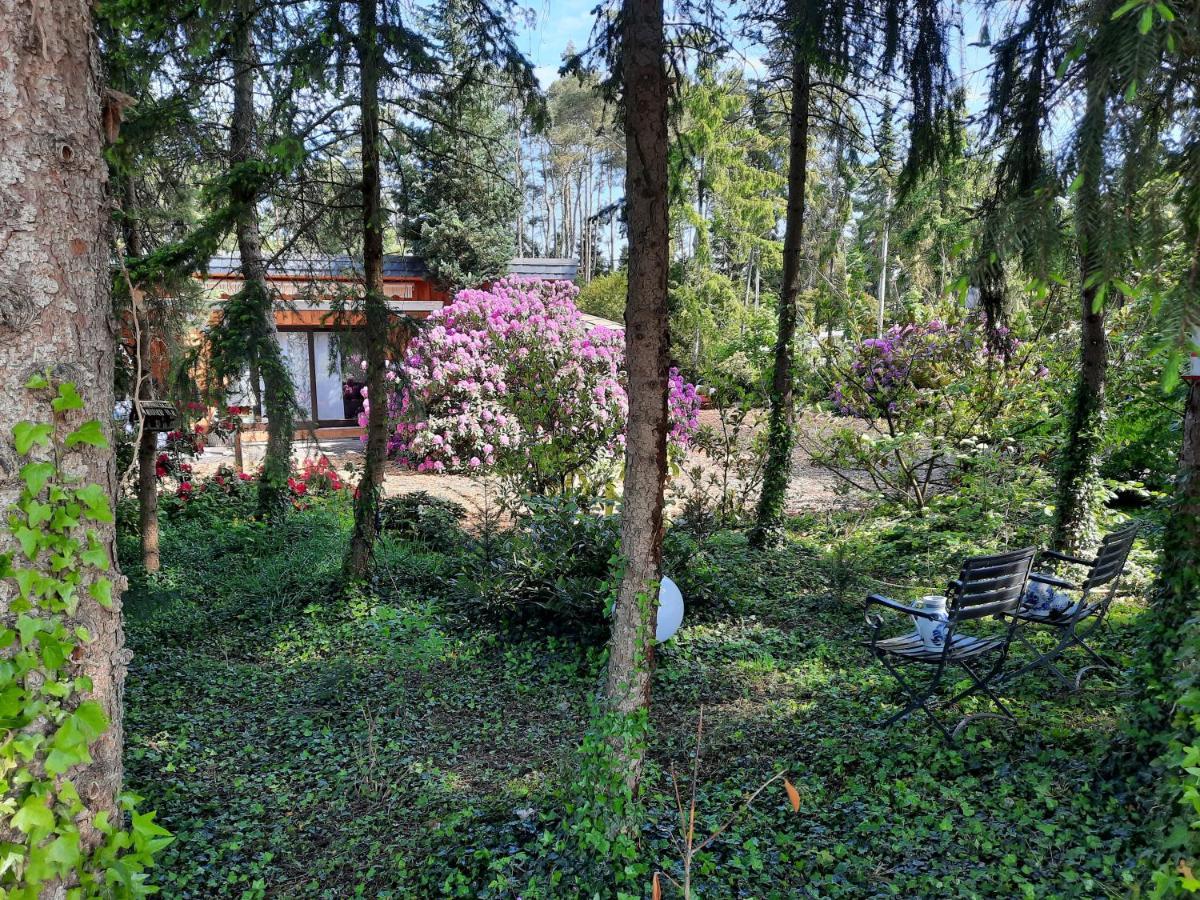 Ferienhaus Leon Mit Sauna Rehburg-Loccum Экстерьер фото
