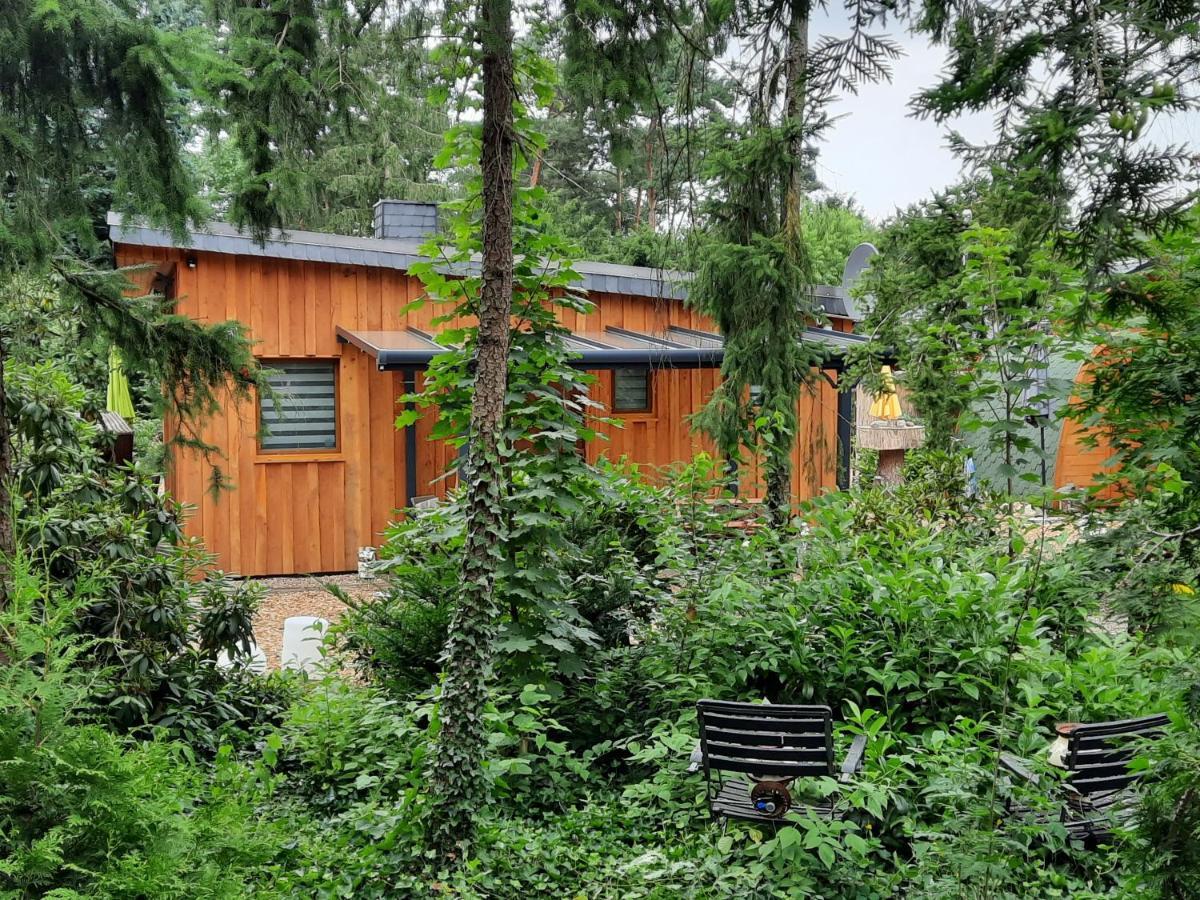 Ferienhaus Leon Mit Sauna Rehburg-Loccum Экстерьер фото